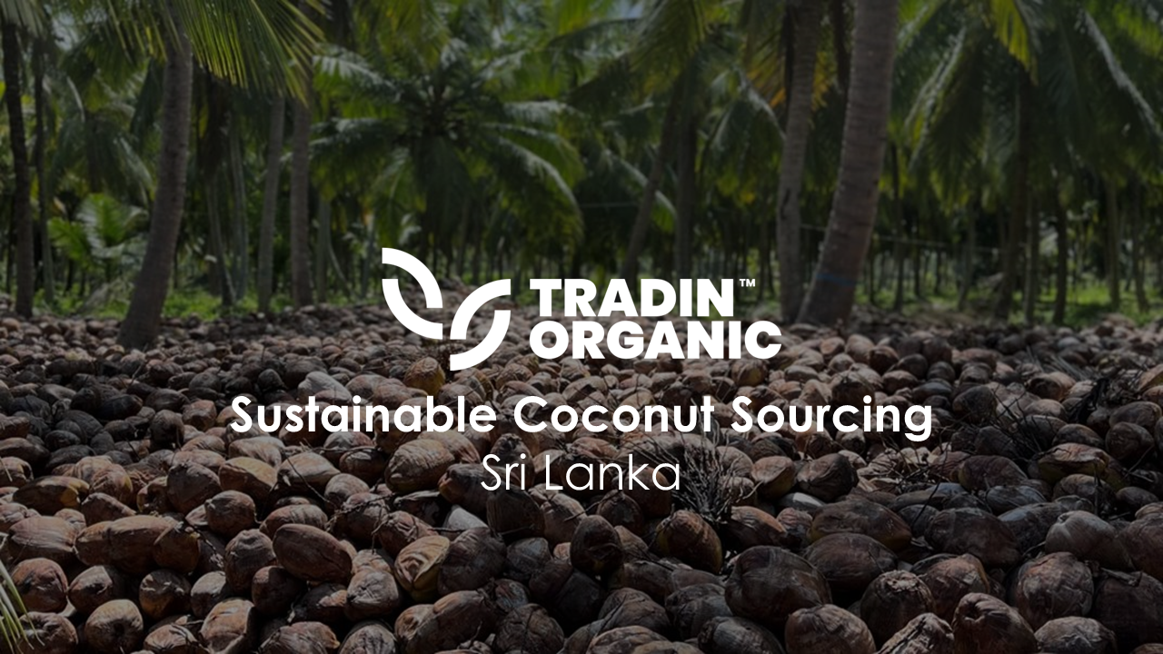 Coconut Products, Sri Lanka - Impact at Source - 2024