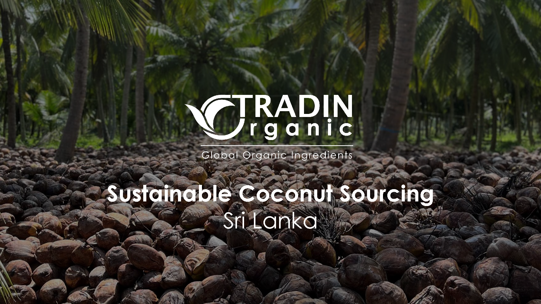 Coconut Water, Milk and Cream - Sri Lanka - 2023_Page_1
