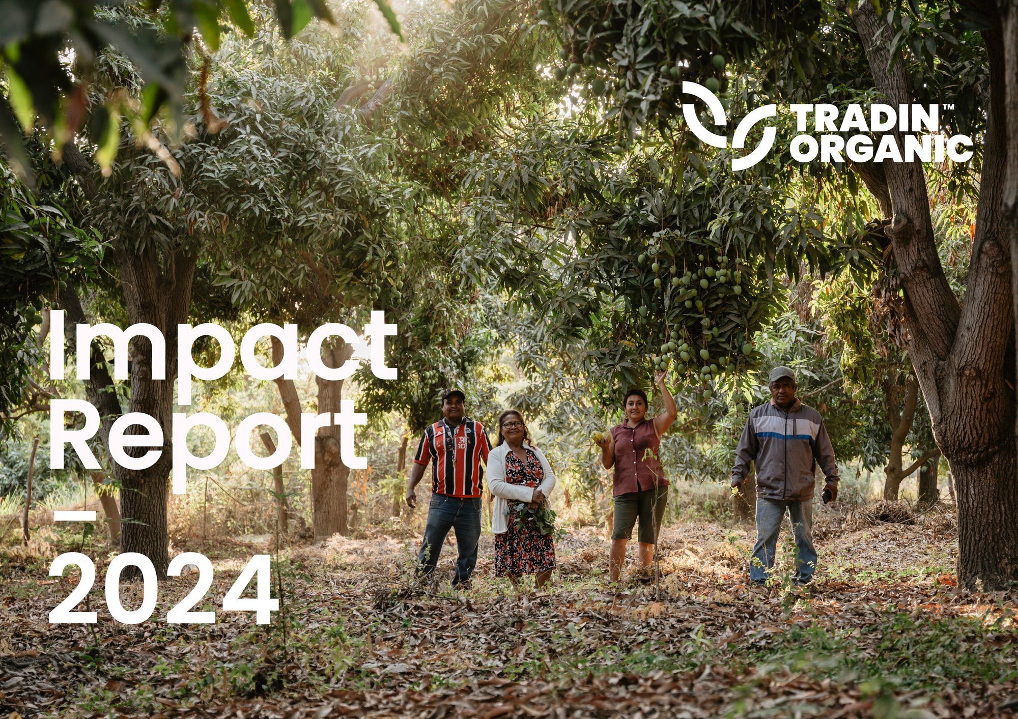 Impact Report Mockup_cover 