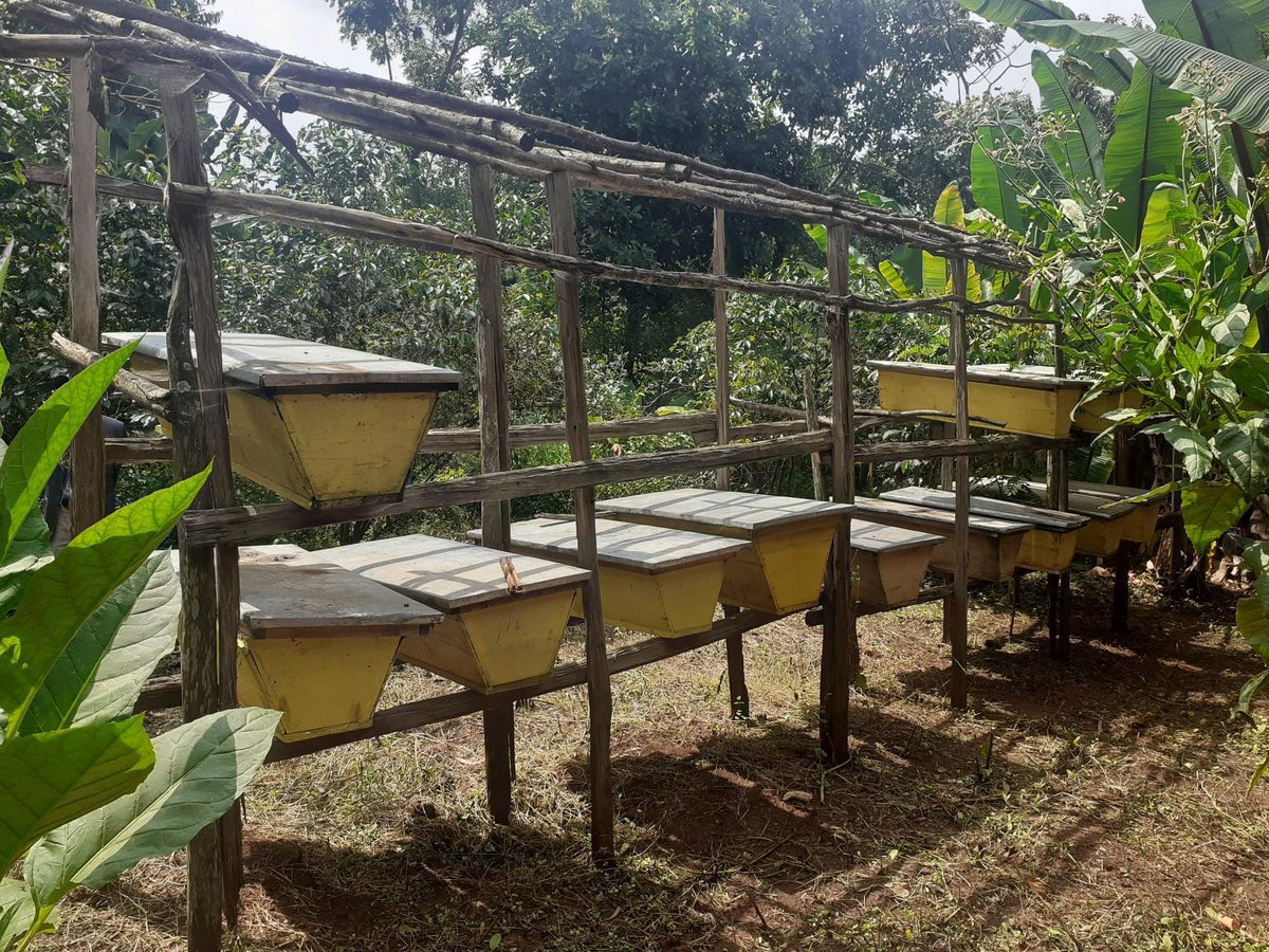 organic-equipment.jpg__1200x1200_q85_subsampling-2 organic-equipment.jpg__1200x1200_q85_subsampling-2
