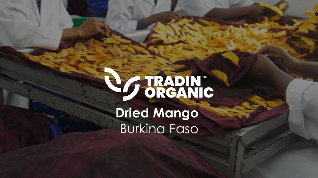 Dried Mango, Burkina Faso - Impact at Source - 2024